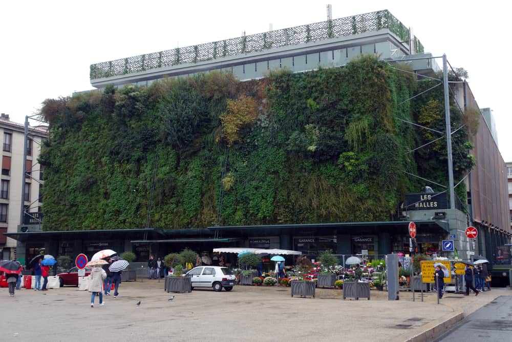 Avignon les halles