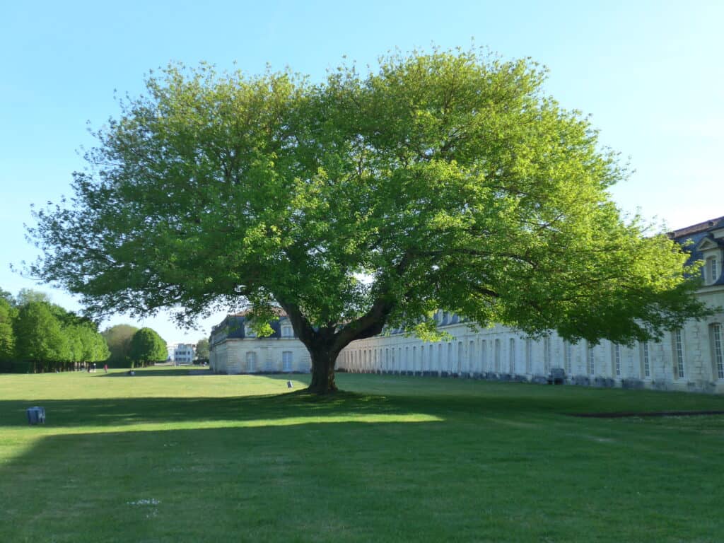 Jardin des retours