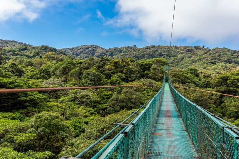 Monteverde