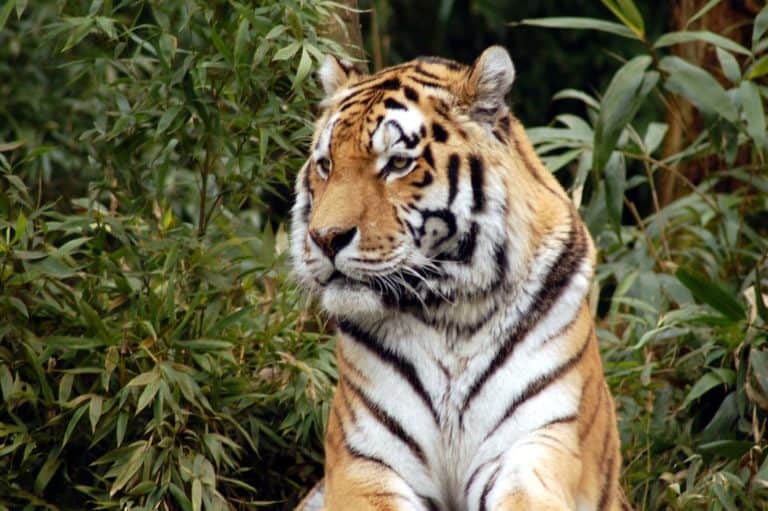 Allwetterzoo münster