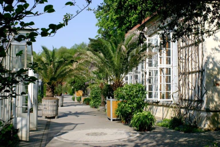 Botanischer garten