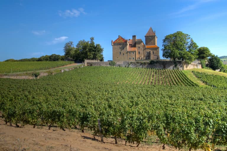 Château de pierreclos