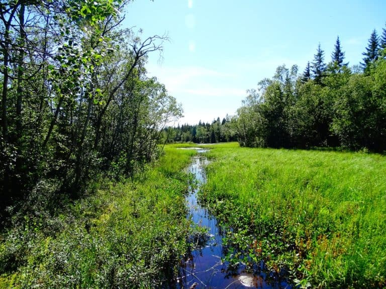 Holmön