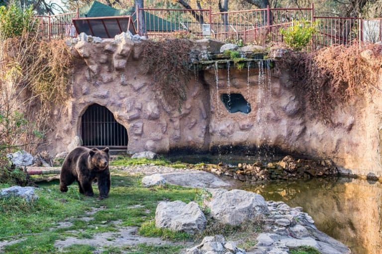 Palić zoo