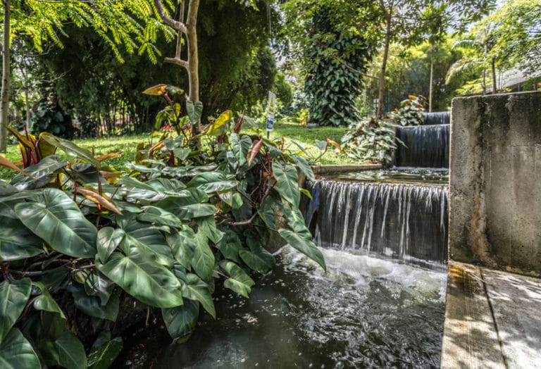 Parque del agua