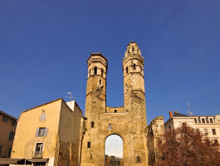 Vieux saint vincent