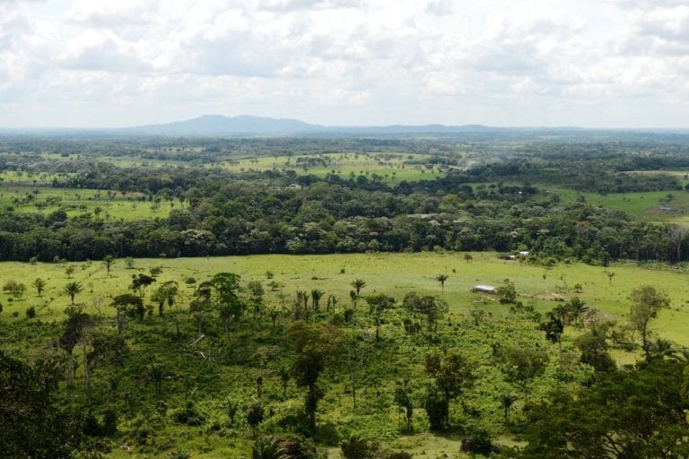 Los llanos