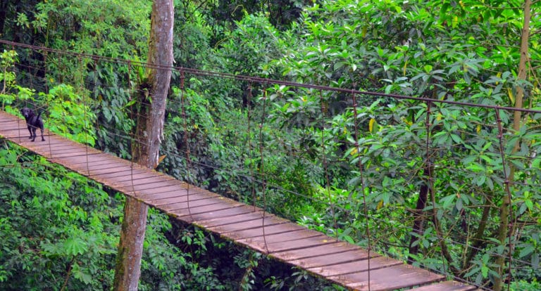 Vereda el carmen