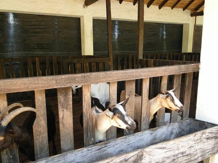 Ферму cabras de cafayate